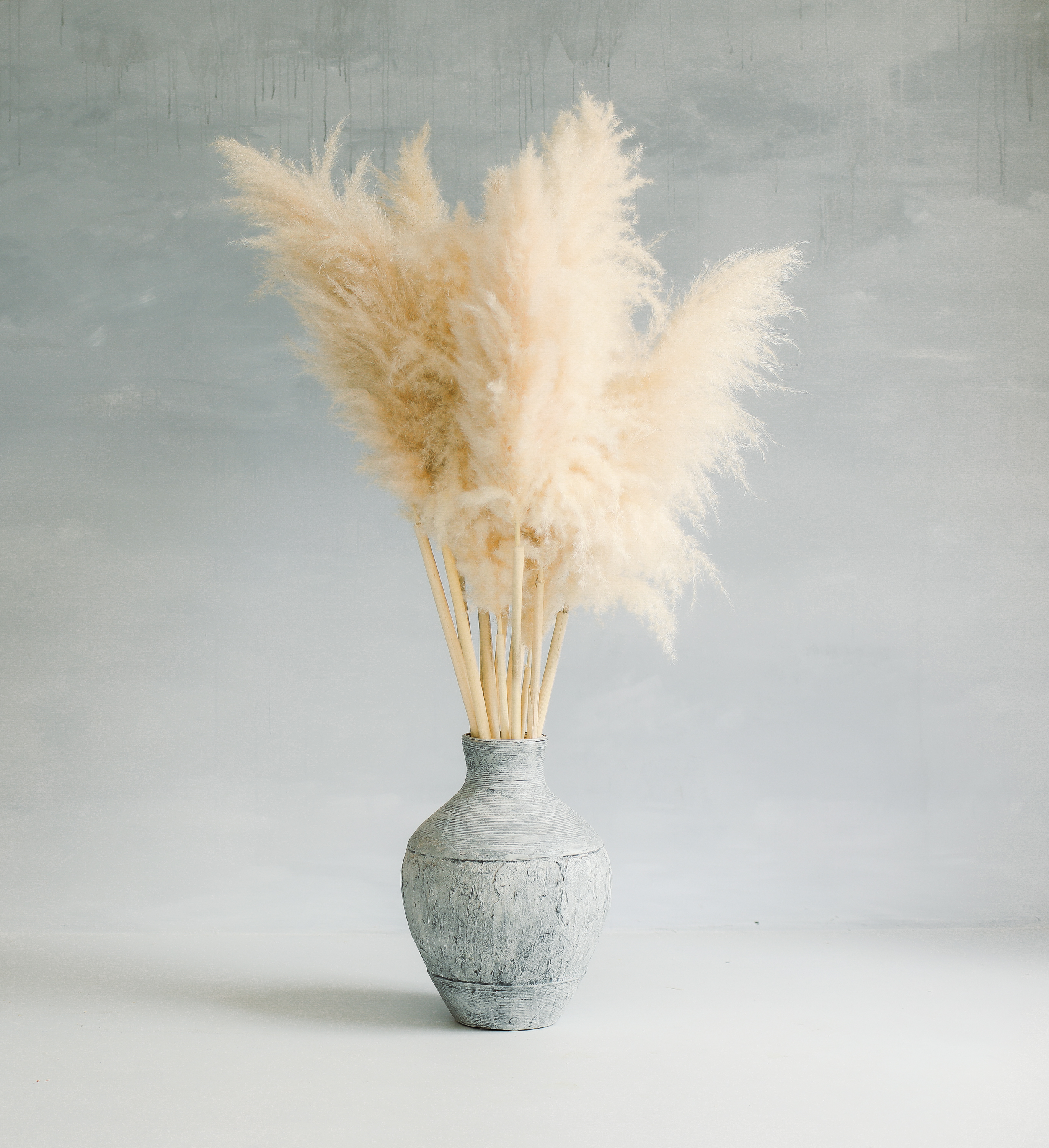 Pampas Grass II