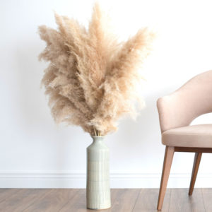 Pampas Grass Décor